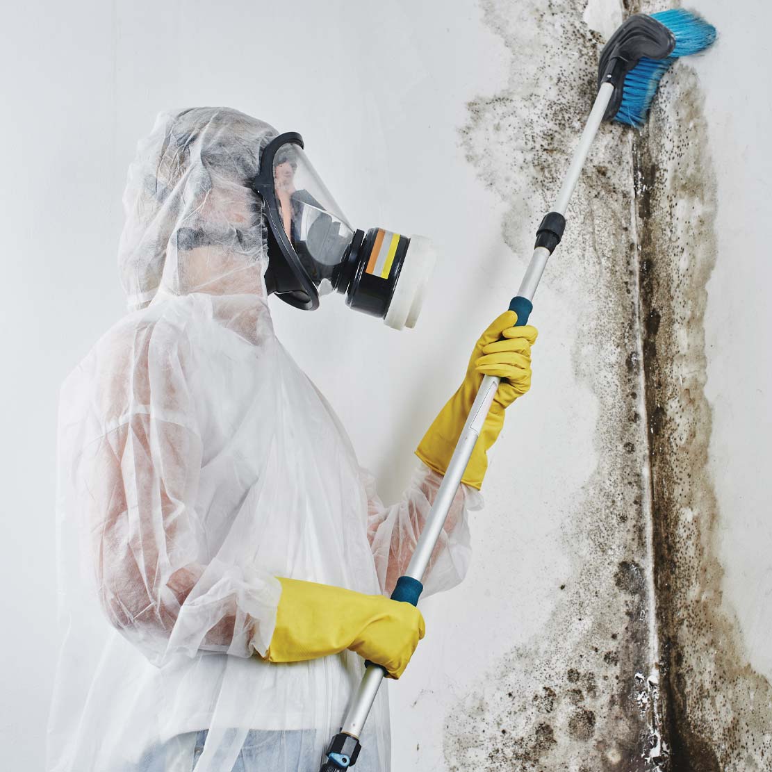 Technician Cleaning Mold