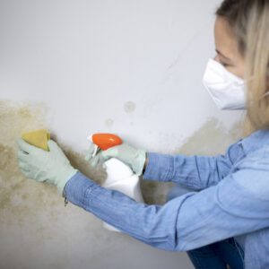 Woman cleaning mold off of a wall