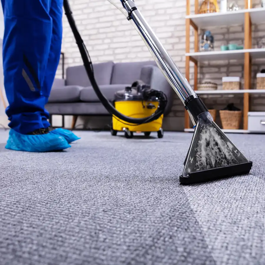 Professional Carpet Cleaning