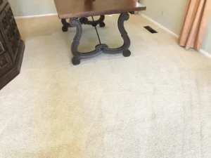 Carpet After a Carpet Cleaning & Drying Restoration Service