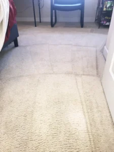 Carpet After a Carpet Cleaning & Drying Restoration Service