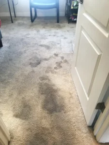 Carpet Before a Carpet Cleaning & Drying Restoration Service