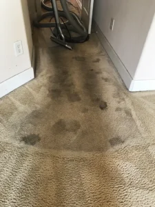 Carpet Before a Carpet Cleaning & Drying Restoration Service