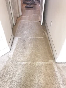 Carpet After a Carpet Cleaning & Drying Restoration Service