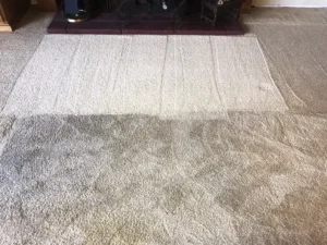 Carpet in the middle of a Carpet Cleaning & Drying Restoration Services