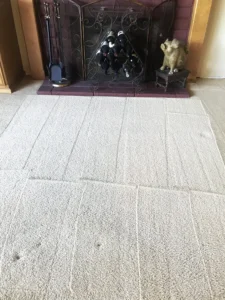 Carpet After a Carpet Cleaning & Drying Restoration Service