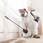 How to Remove Mold from Walls