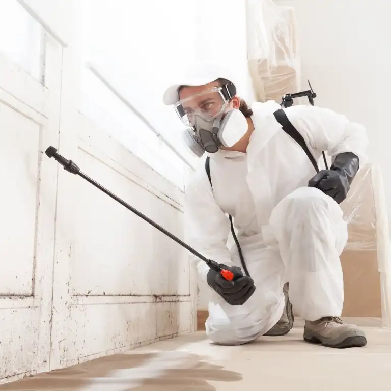 How to Remove Mold from Walls